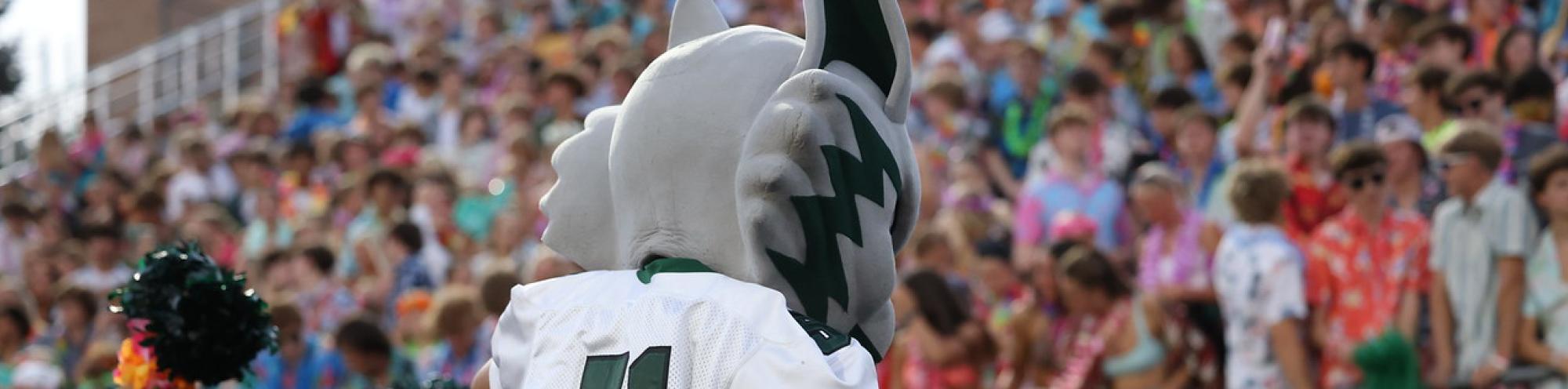 Image of West Mascot in front of a football crowd
