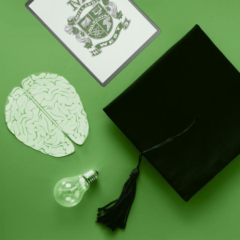Image of a graduation cap, a lightbulb, a clipboard and a brain on a green background