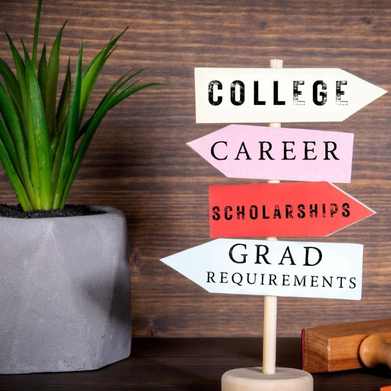 Directional signs that say: College, Career, Scholarships & Grad Requirements on a table with a plant against a wood background