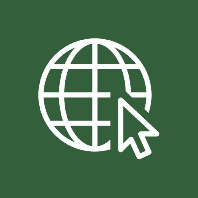 Green and white icon of website